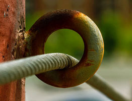 不花钱能用的手机号轰在线网页版入口